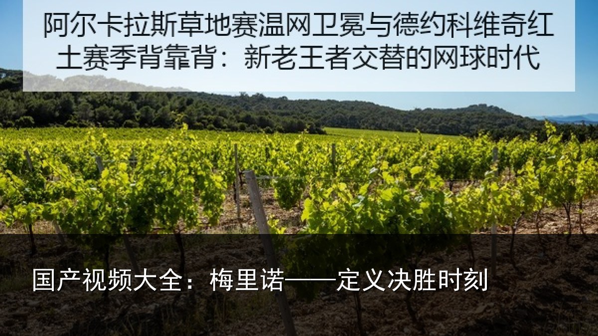 国产视频大全：梅里诺——定义决胜时刻
