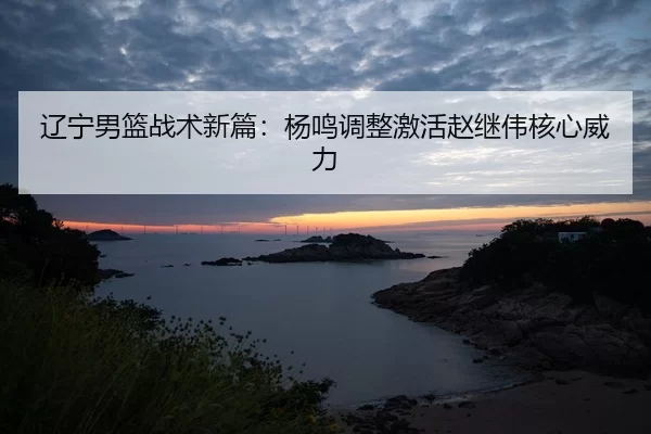 liao-ning-nan-lan-zhan-shu-xin-pian-yang-ming-tiao-zheng-ji-huo-zhao-ji-wei-he-xin-wei-li-2-453.jpg