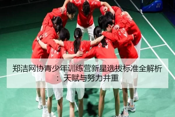zheng-jie-wang-xie-qing-shao-nian-xun-lian-ying-xin-xing-xuan-ba-biao-zhun-quan-jie-xi-tian-fu-yu-nu-li-bing-zhong-2-385.jpg