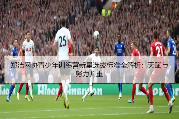 郑洁网协青少年训练营新星选拔标准全解析：天赋与努力并重