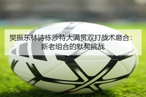樊振东林诗栋沙特大满贯双打战术磨合：新老组合的默契挑战