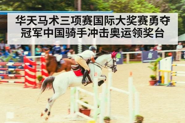 show jumping arena